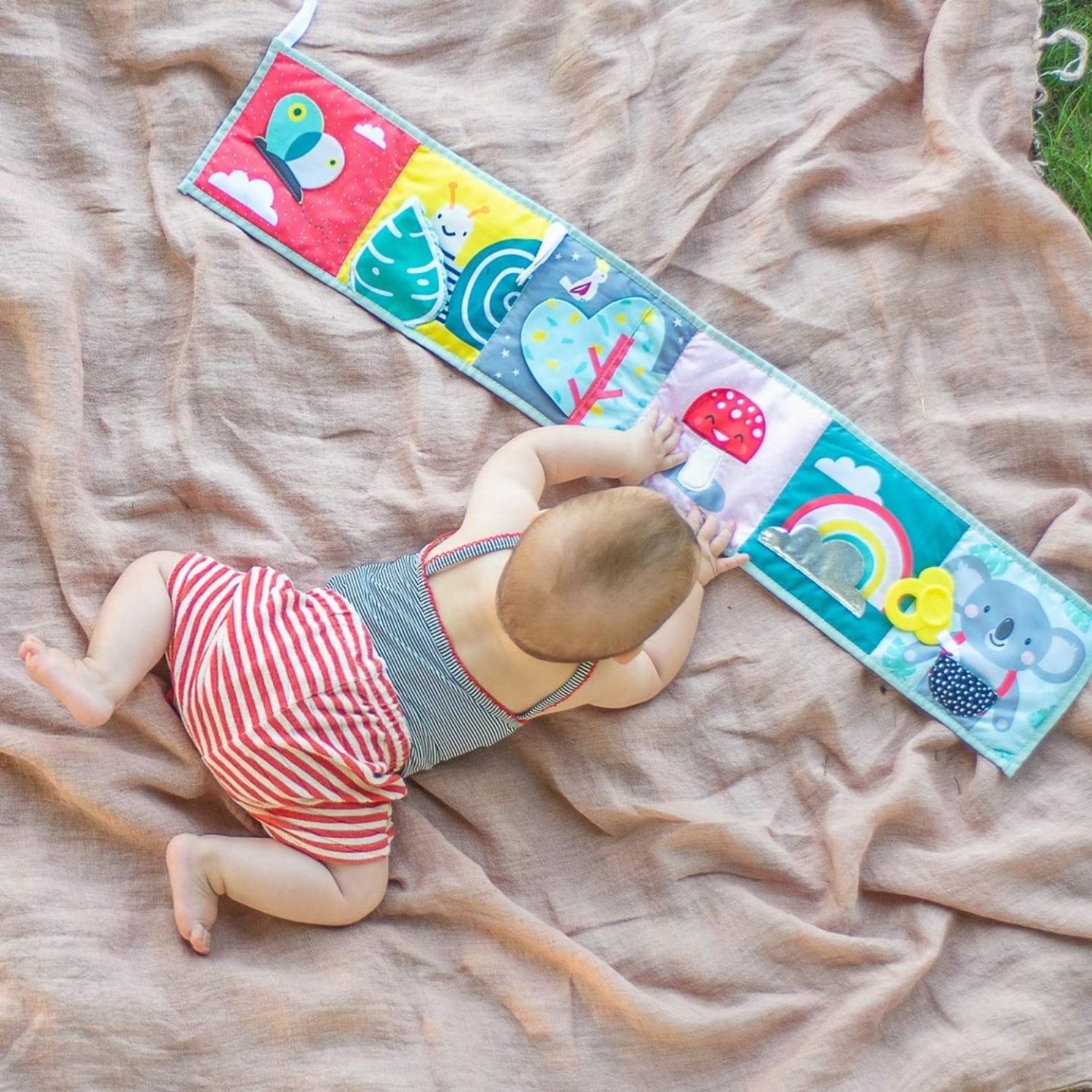 Taf Toys Pram Book Urban Garden livre éducatif contrastant | notino.be